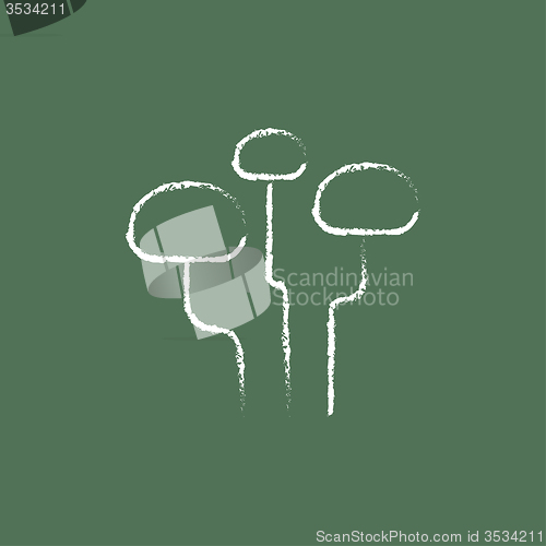 Image of Mushroom icon drawn in chalk.