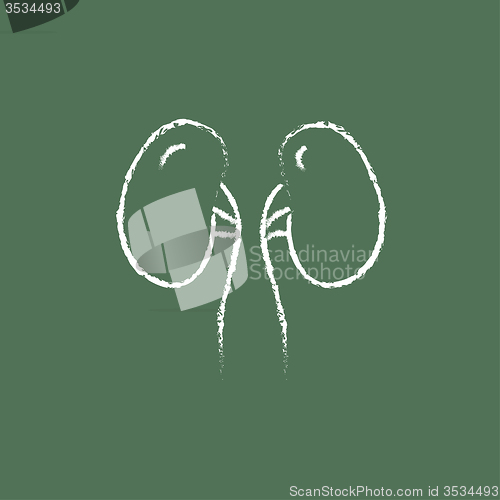 Image of Kidney icon drawn in chalk.