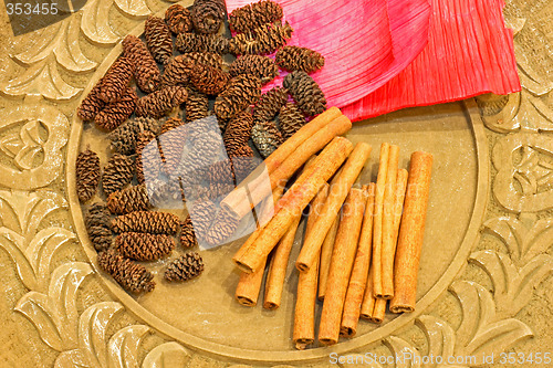 Image of Cinnamon and cones