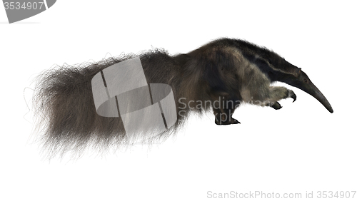 Image of Giant Anteater