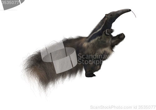 Image of Giant Anteater