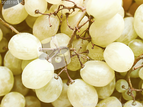 Image of Retro looking Grape picture