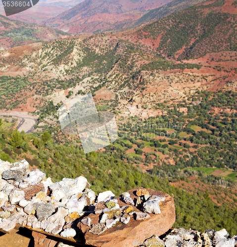 Image of the    dades valley in atlas moroco africa ground tree  and nobo