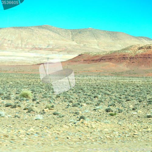 Image of brown bush  in    valley  morocco         africa the atlas dry m