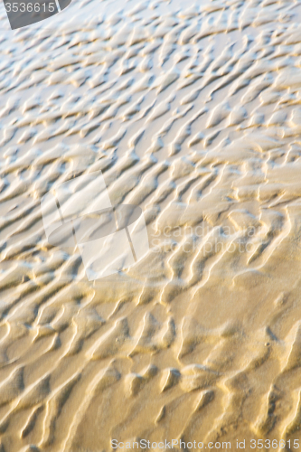 Image of dune morocco in africa brown   near atlantic ocean