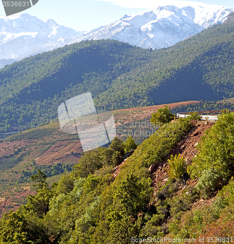 Image of the    dades valley in atlas moroco africa ground tree  and nobo