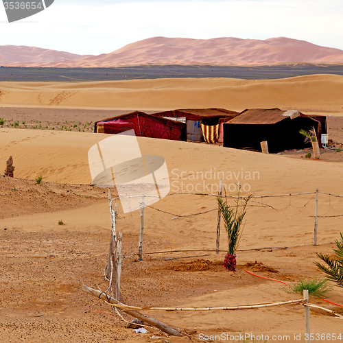 Image of tent in  the desert of morocco sahara and rock  stone    sky