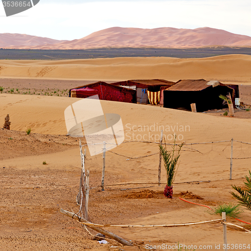 Image of tent in  the desert of morocco sahara and rock  stone    sky