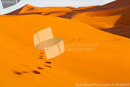 Image of sunshine in the desert of morocco   and dune