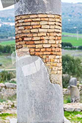 Image of old column in the africa  and nature