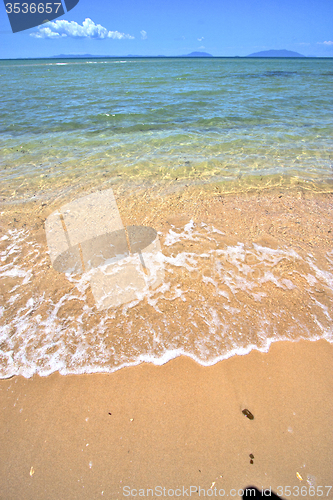 Image of paradise beach seaweed  indian ocean   be   and foam