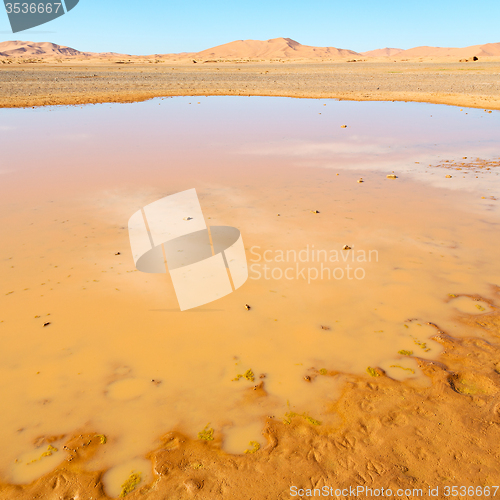 Image of sunshine in the lake yellow  desert of morocco sand and     dune