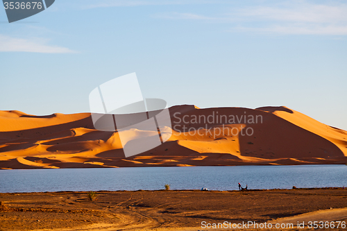 Image of sunshine in the lake  of morocco sand      dune