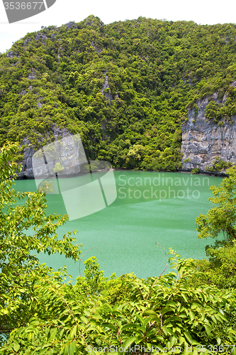 Image of  coastline of a green lagoon and    bay  