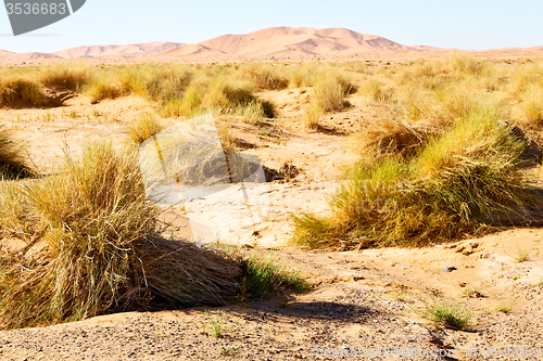 Image of mountain old fossil in  the desert  sky