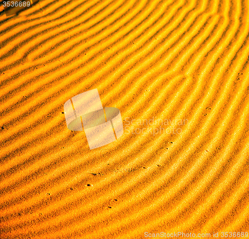 Image of africa the brown sand dune in   sahara morocco desert line