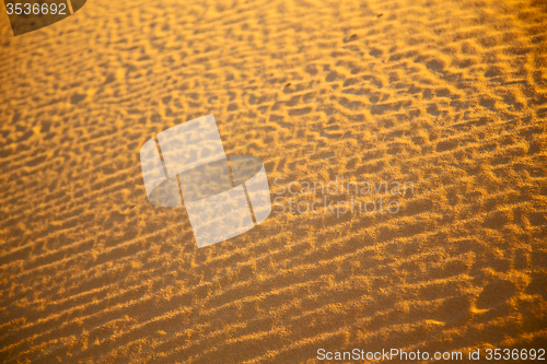 Image of africa the brown sand dune in   sahara  desert  