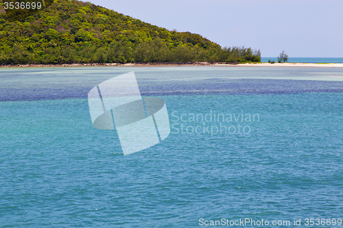 Image of    bay  coastline of a green lagoon and tree 