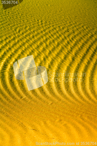 Image of the brown   dune   sahara morocco green