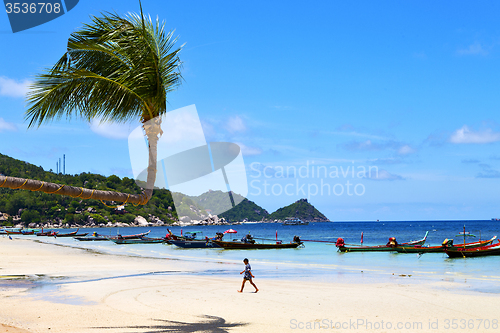Image of asia   the  kho tao    thailand  south china sea anchor