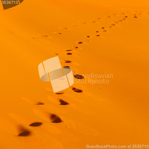 Image of sunshine in the desert of morocco sand and dune