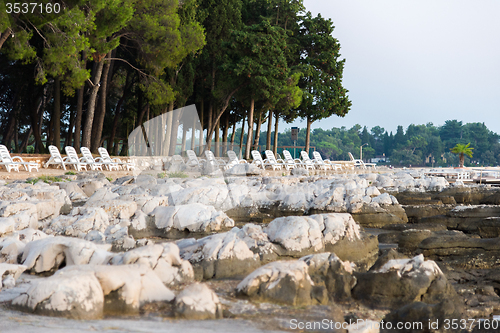 Image of loungers and pine trees on rocky beaches