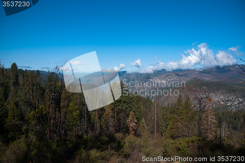 Image of Yosemite Valley View