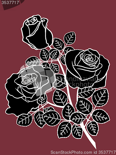 Image of Black and white roses on the dark