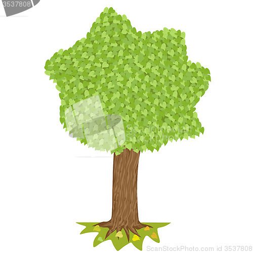 Image of Tree  with green crown