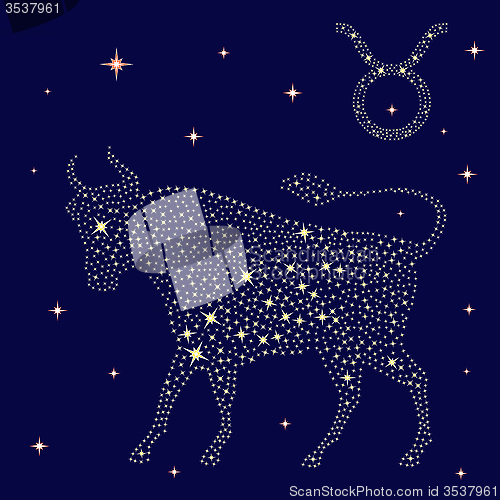 Image of Zodiac sign Taurus on the starry sky