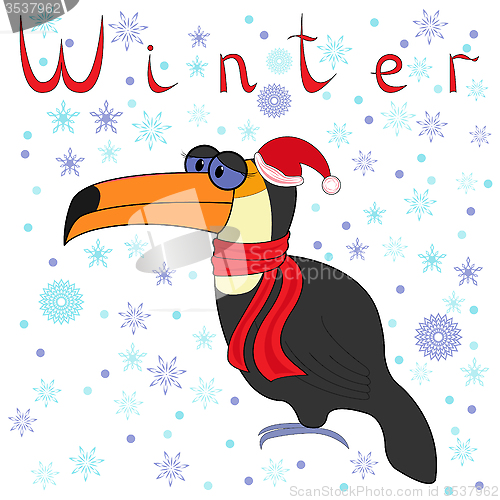 Image of Why Toucan is so cold in winter?