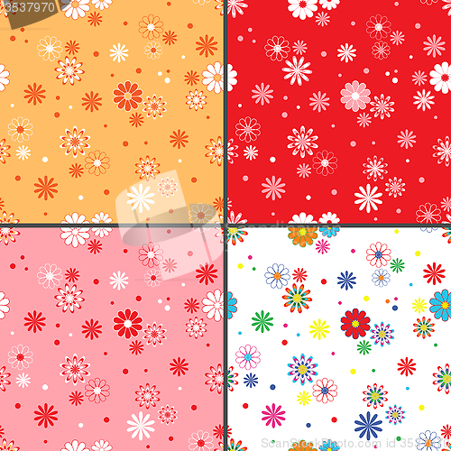 Image of Four seamless vector patterns with daisy flowers