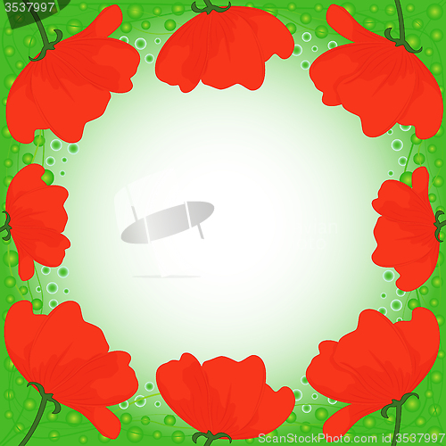Image of Postcard with several red poppies