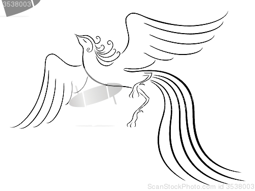 Image of Black graceful Firebird contour