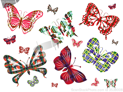 Image of Six different butterflies with Celtic ornament