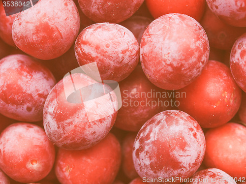 Image of Retro looking Prunes