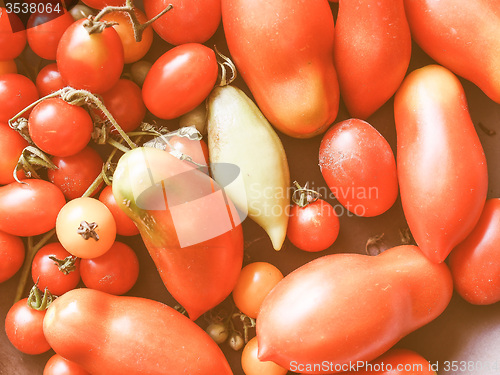 Image of Retro looking Tomato vegetable