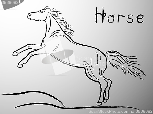 Image of Graceful Horse contour