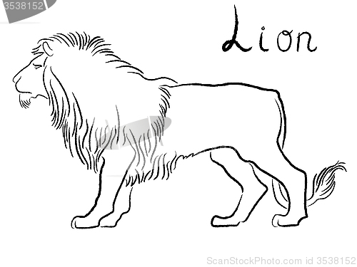 Image of Black graceful Lion contour