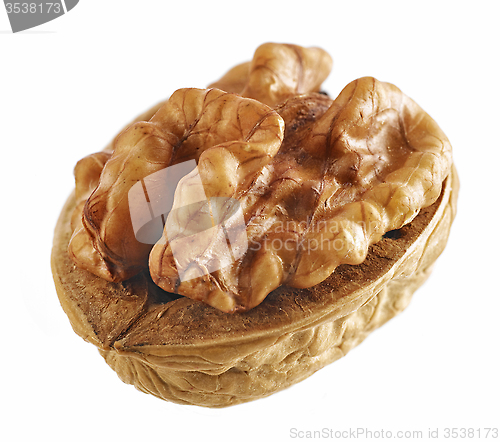 Image of walnut macro