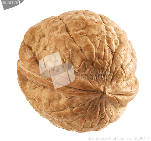 Image of walnut macro