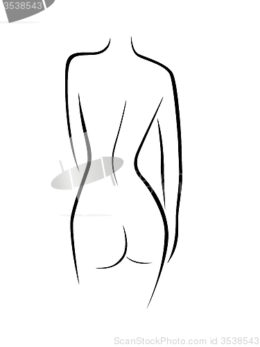 Image of Abstract female back contour