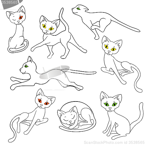 Image of Eight contours of funny cats