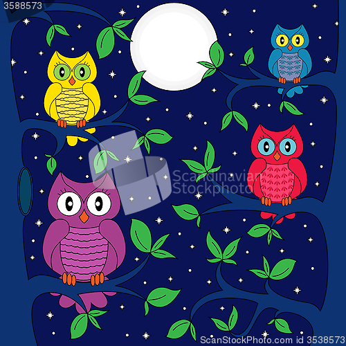Image of Owls in a moonlit night