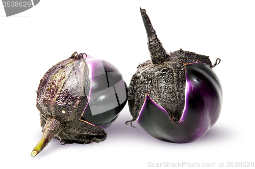 Image of Supine and standing round ripe eggplants