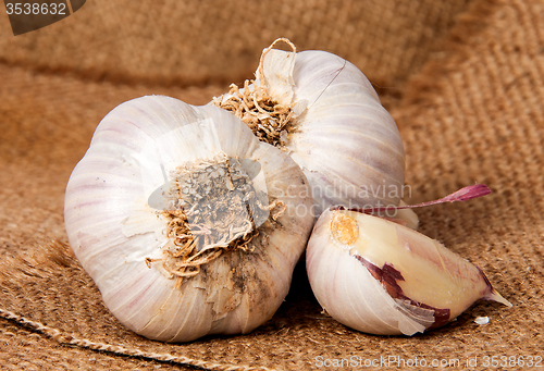 Image of Two heads of garlic and garlic clove on sackcloth
