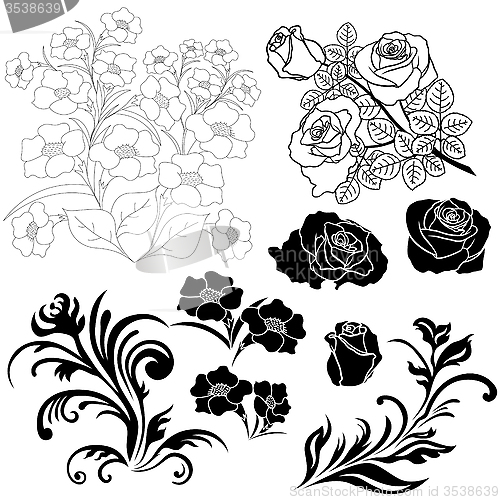 Image of Set of isolated floral elements for design