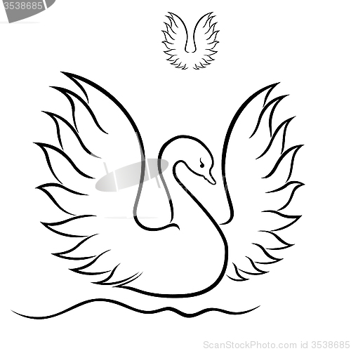 Image of Swan with raised wings