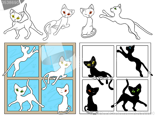 Image of Black and white cats on the windows