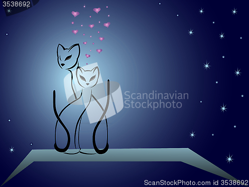 Image of Enamoured cats against dark blue night sky